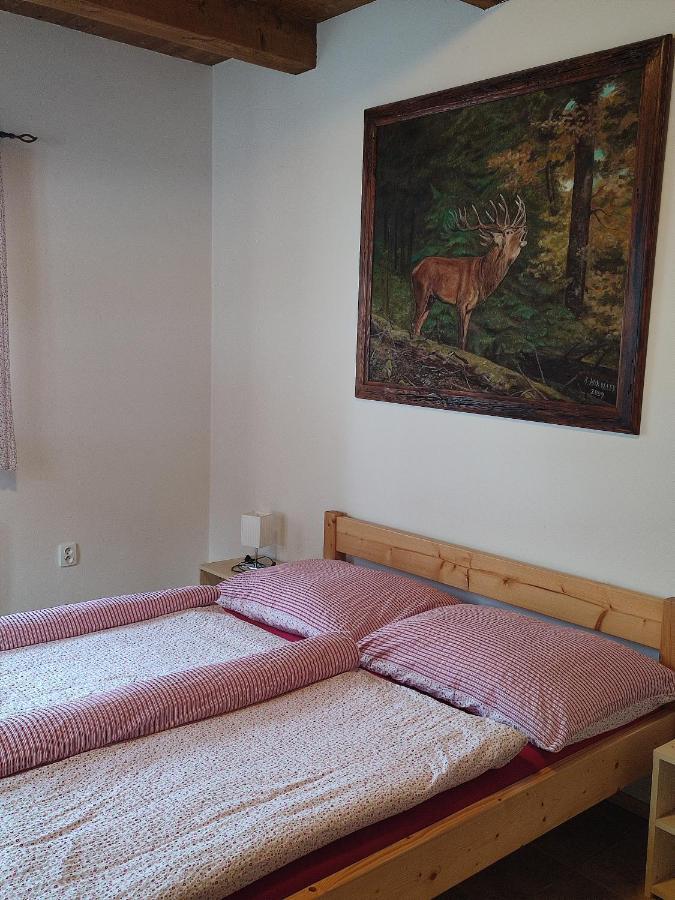 Apartmany Pod Vysakem Stárkov Екстериор снимка