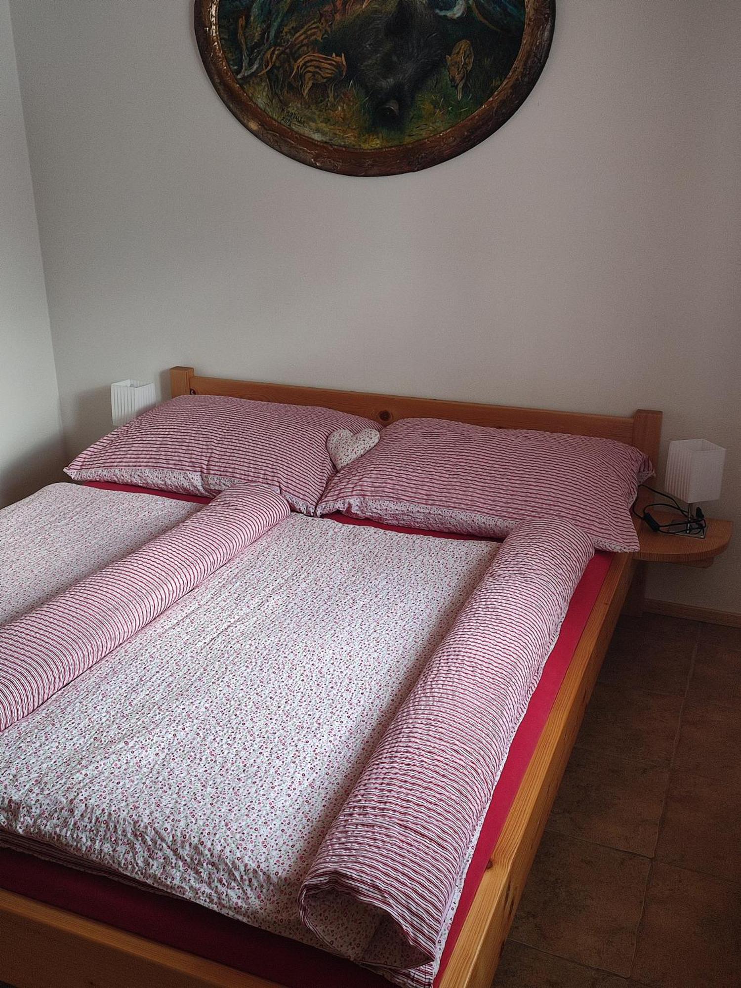Apartmany Pod Vysakem Stárkov Стая снимка